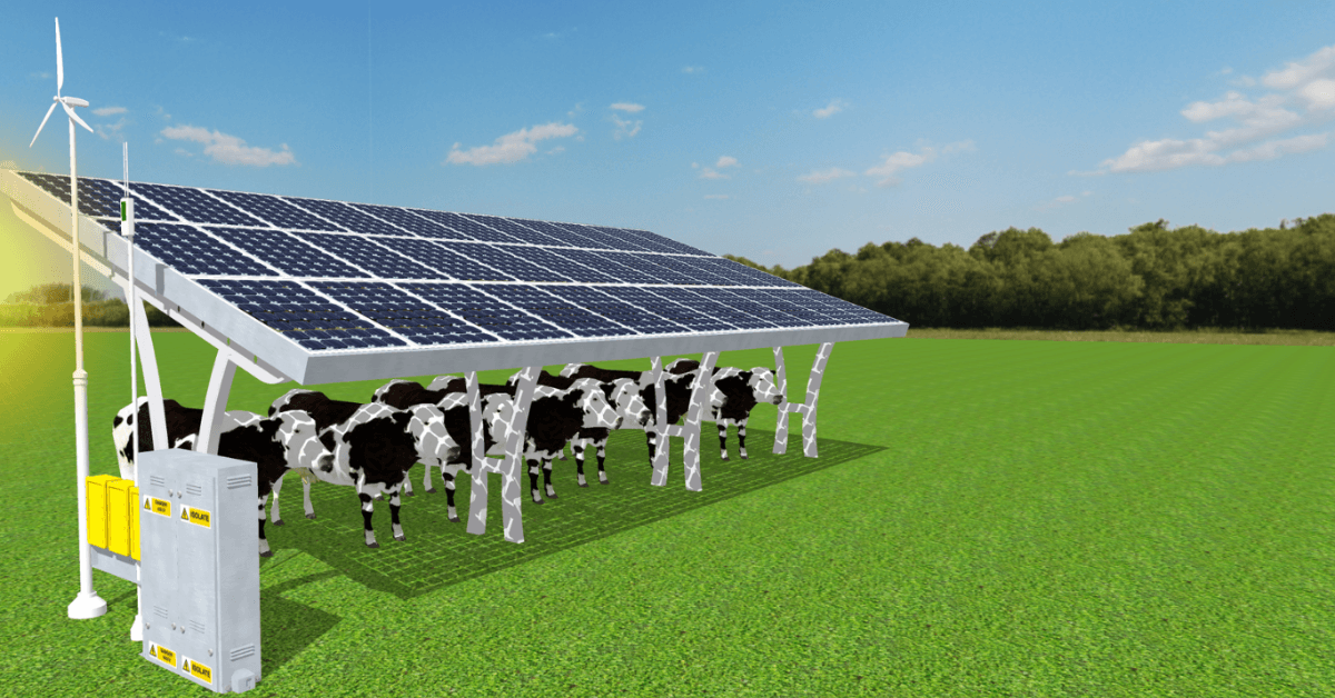 banner image for: Tokeniser l'AgTech pour catalyser l'action climatique.